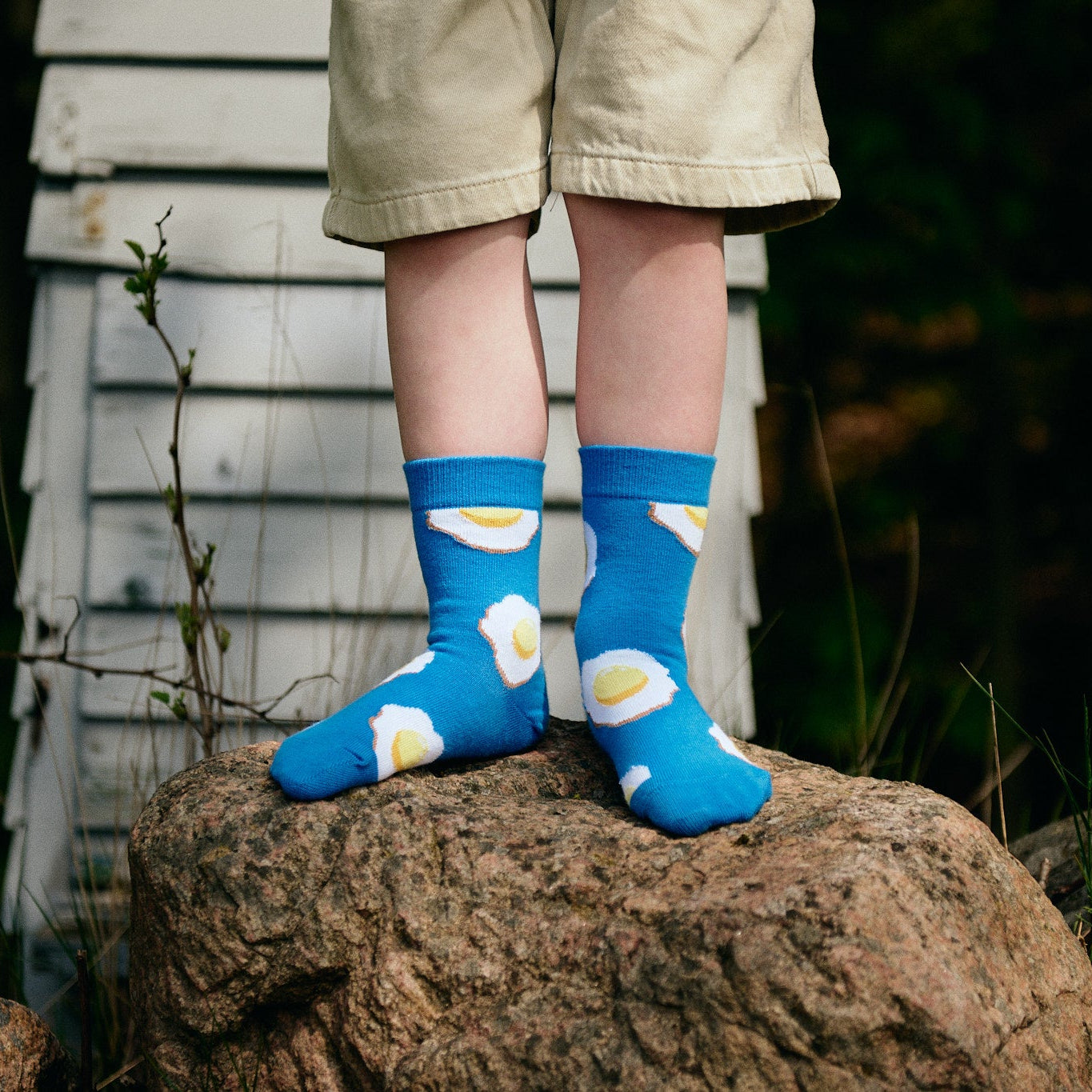 Eggs socks