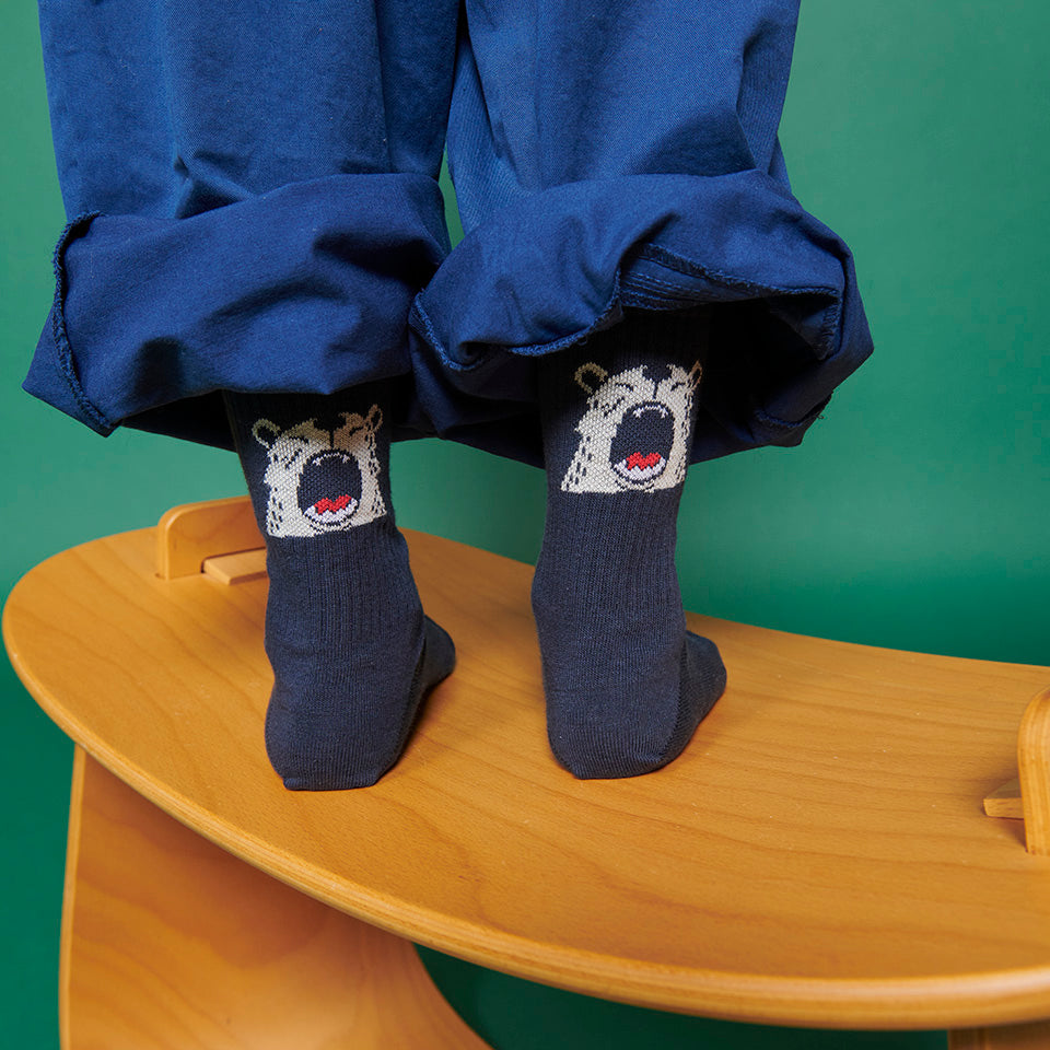 Ice bear socks