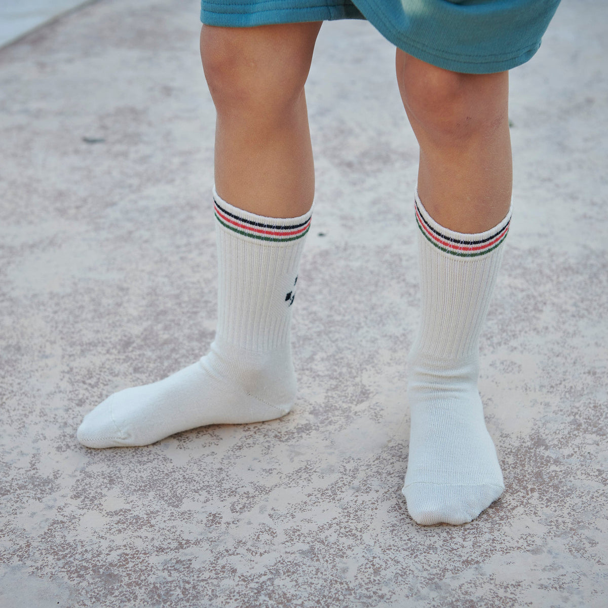 Albert socks