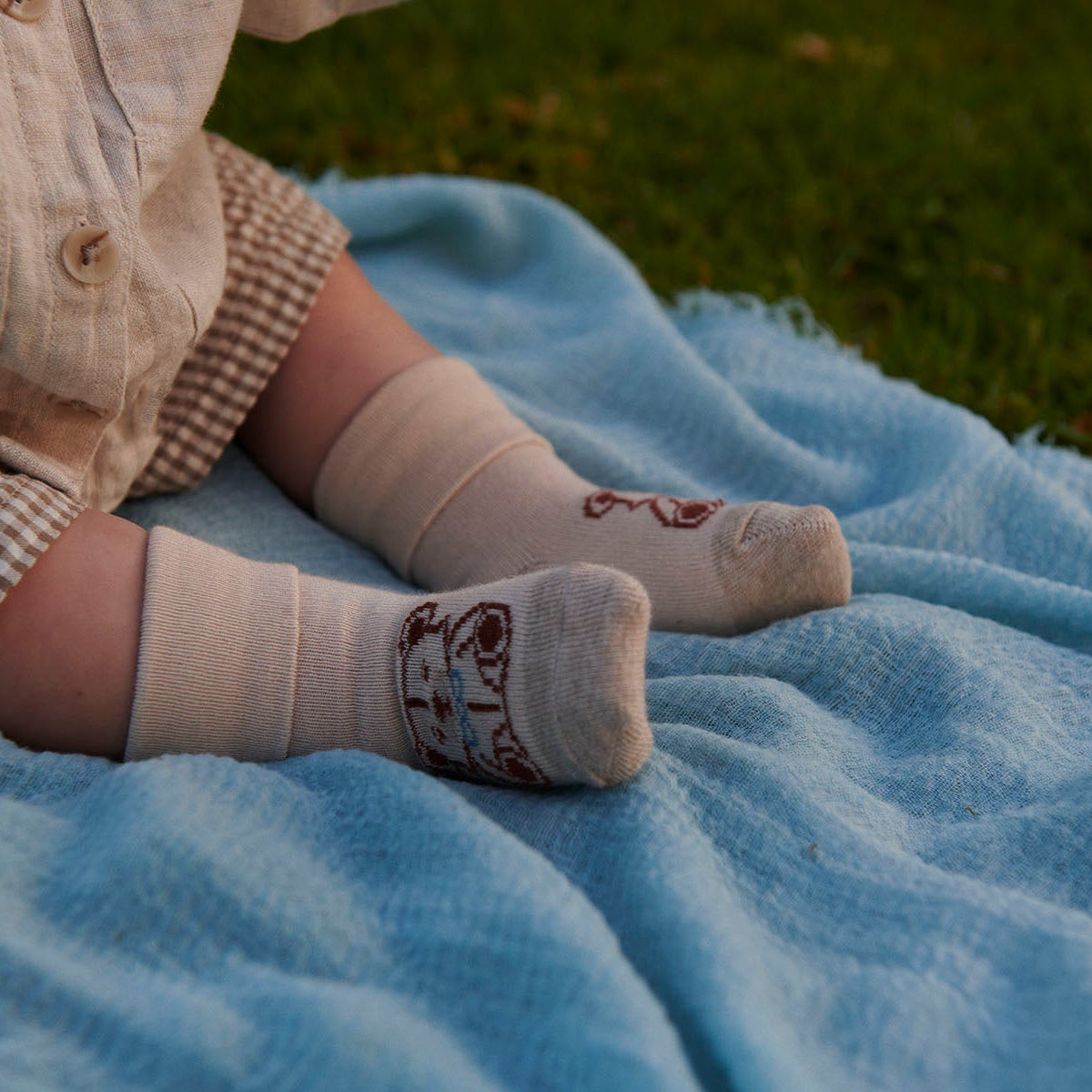 Teddy socks