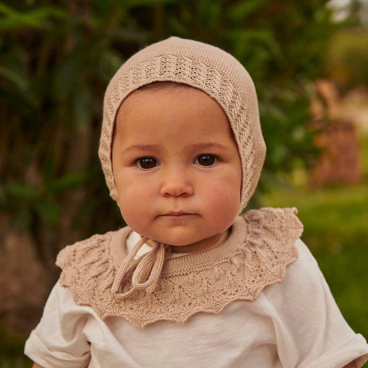 Aster collar