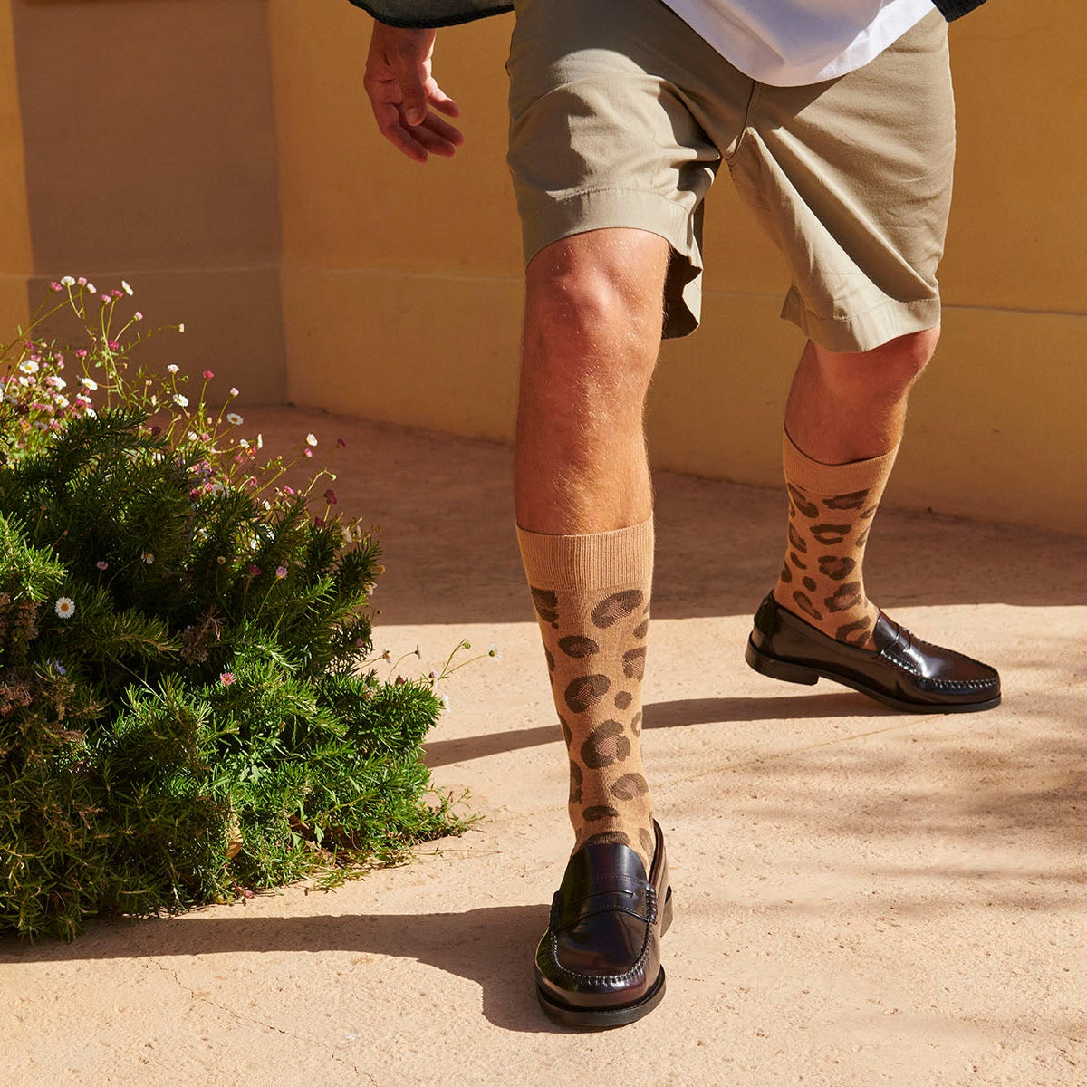 Bjarke socks