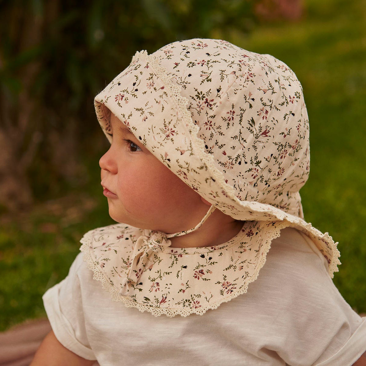 Lottie collar